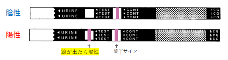 （図3）