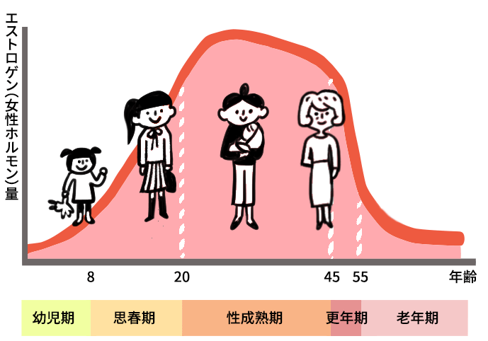 年齢に伴う女性ホルモン(エストロゲン量)の変化と不調