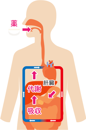 経口剤・経皮吸収型製剤(貼付剤、塗布剤)