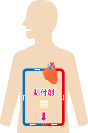 経口剤・経皮吸収型製剤(貼付剤、塗布剤)